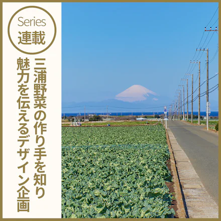 【連載】イラストレーター スズキトモコさんと
三浦野菜の作り手を知り、伝えるデザインプロジェクト